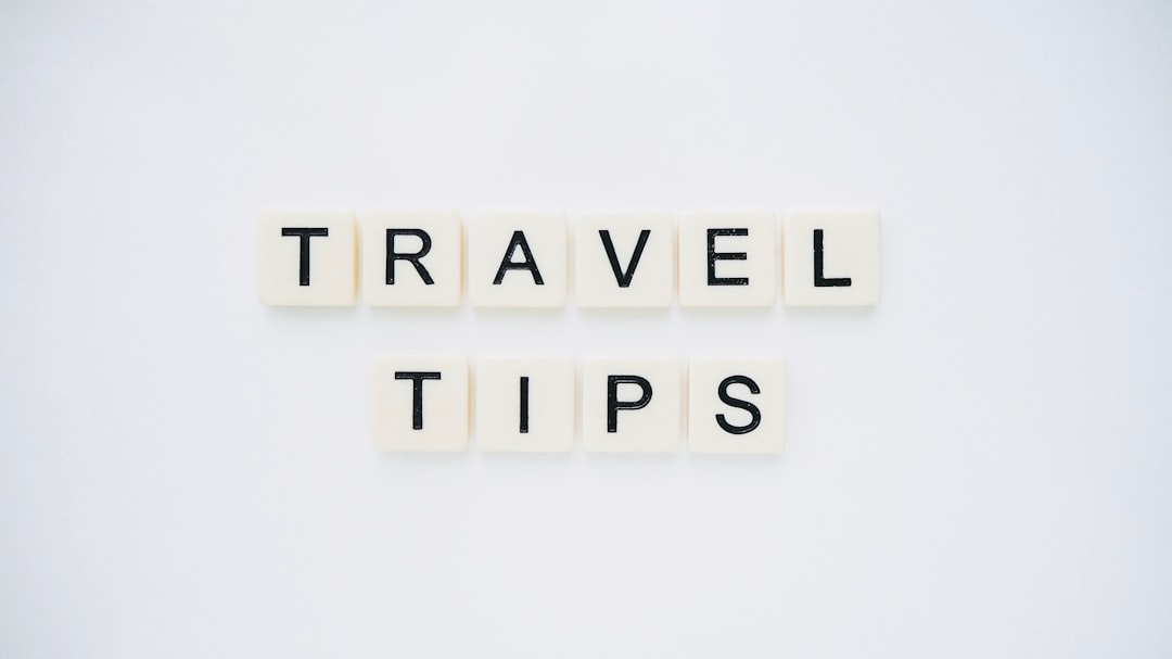 Travel packing organization