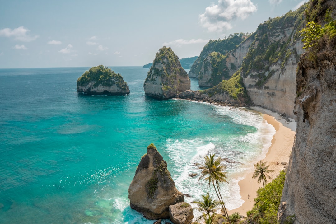 Family vacation planning